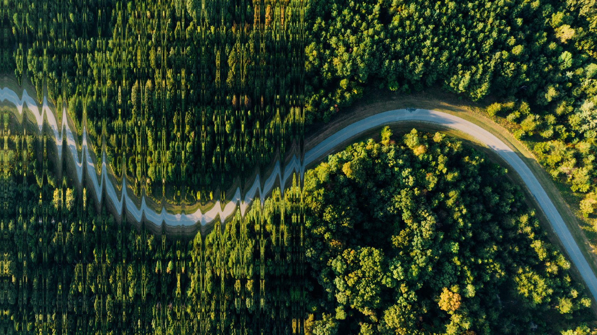 Sustainable impact at L'Oréal Netherlands & Belgium